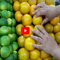 Técnica de Arrumação Pirâmide