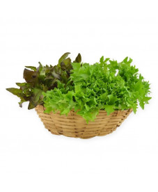 Alface Crespa Unidade