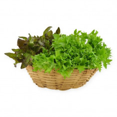 Alface Crespa Unidade