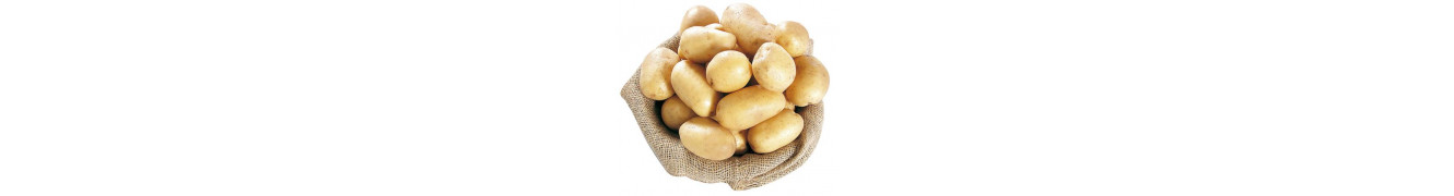 Legumes