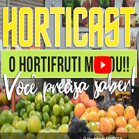 O Hortifruti MUDOU!