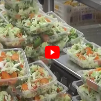 Entenda como são preparados os vegetais higienizados minimamente processados