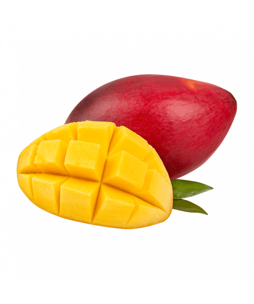 Manga Palmer Manga Palmer