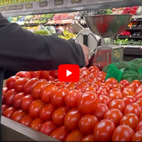 Como rotacionar tomates Roma no setor de hortifrutigranjeiros Rotação de 100%.