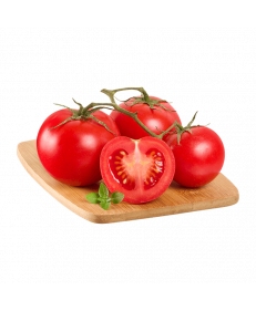 Tomate Holandês Rama
