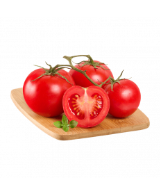 Tomate Holandês Rama