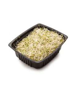 Broto De Alfafa Biomas 120 G