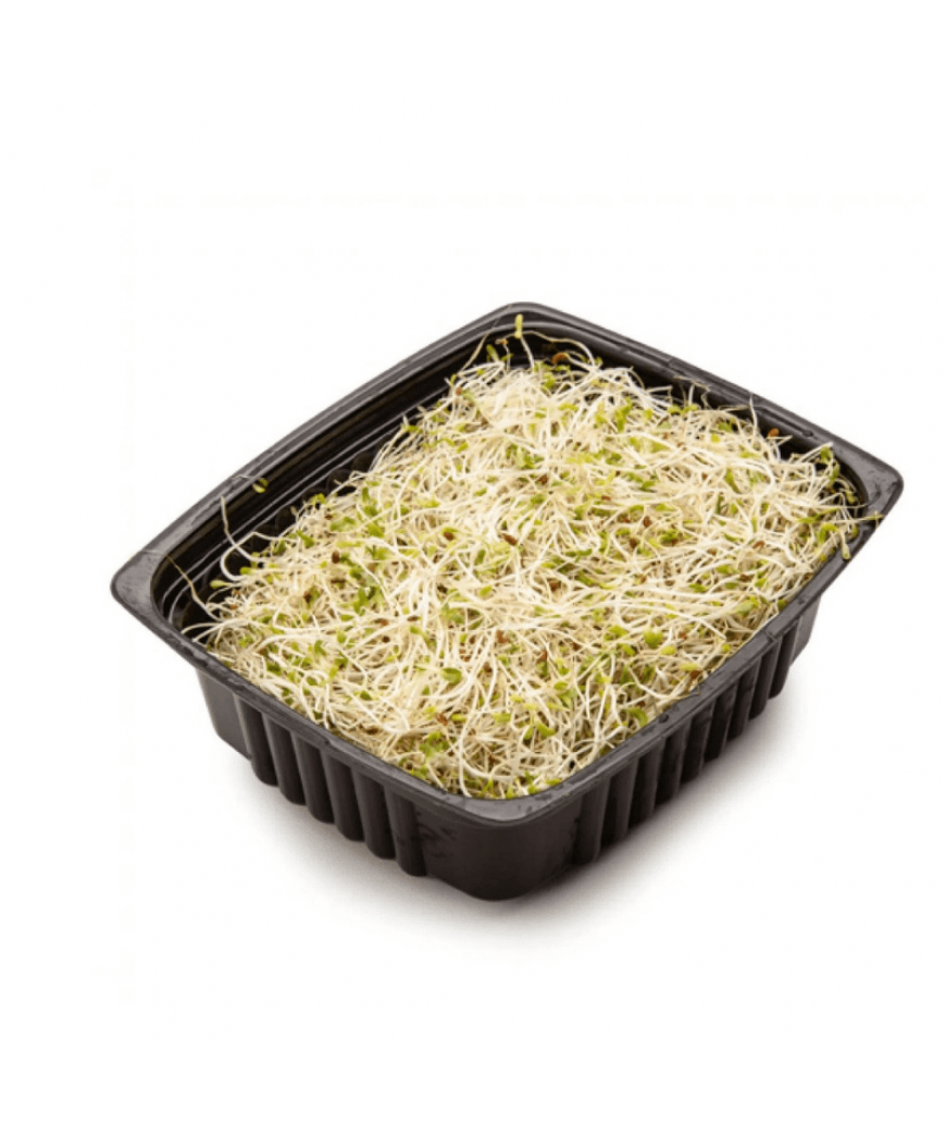 Broto De Alfafa Biomas 120 G Broto De Alfafa Biomas 120 G