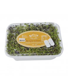 Broto Mix Suave Biomas 120g