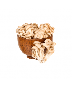 Cogumelo Shimeji Branco Cogus 200 G