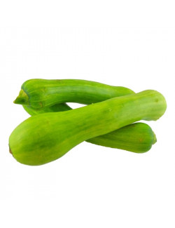 Abobrinha Brasileira