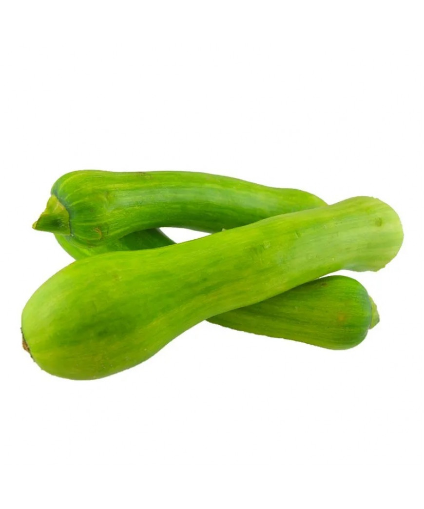 Abobrinha Brasileira Abobrinha Brasileira