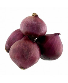 Cebola Roxa Importada