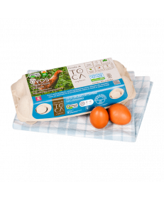 Ovo Orgânico Fazenda Da Toca Com 10 Unidades